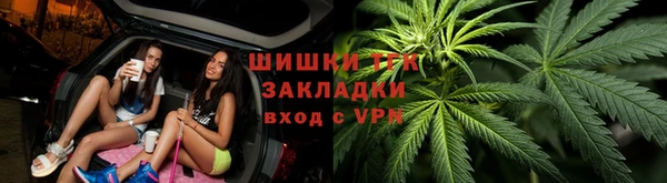 ПСИЛОЦИБИНОВЫЕ ГРИБЫ Билибино