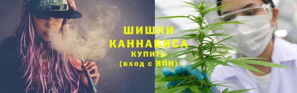 гидра Беслан