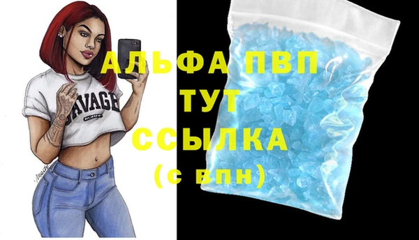 ПСИЛОЦИБИНОВЫЕ ГРИБЫ Билибино